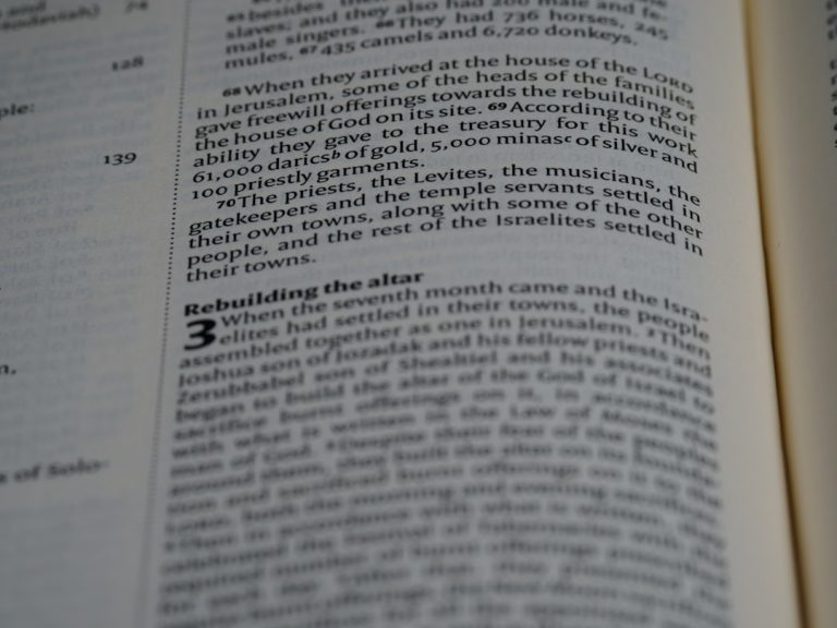 The Art of Polishing Your Words: A Guide to Professional Proofreading Services